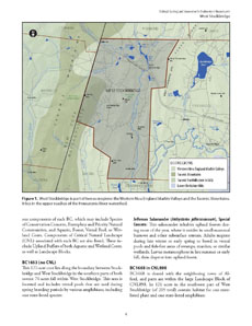 West Stockbridge BioMap2 town report